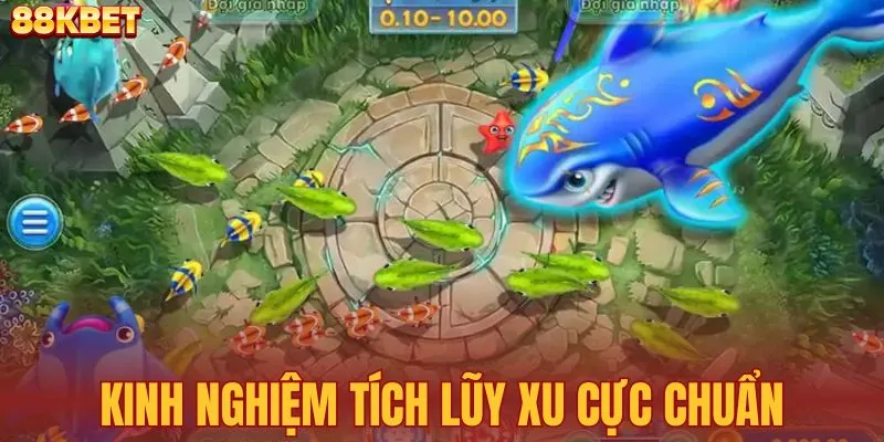 Kinh nghiệm tích lũy xu cực chuẩn