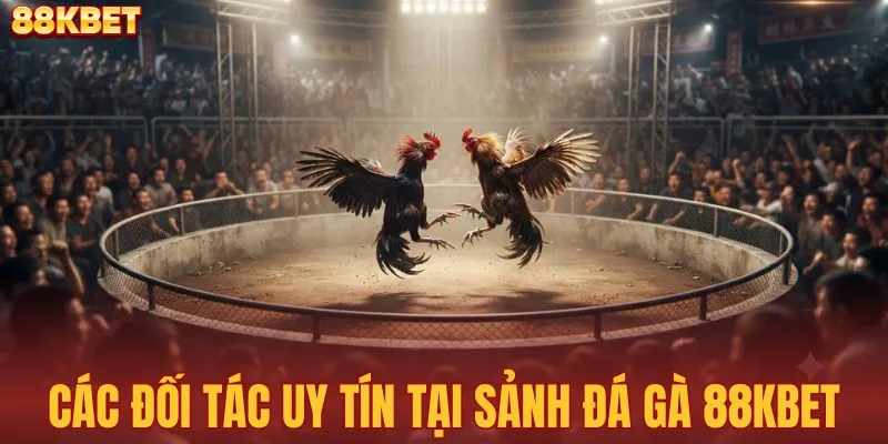 Các sảnh đá gà ăn khách tại nhà cái 88KBET