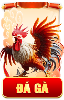 đá gà icon