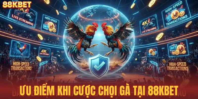 Điểm cộng của sảnh chọi gà tại nhà cái