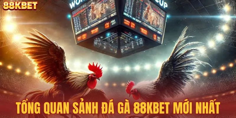Giới thiệu sảnh chơi đá gà 88KBET đẳng cấp